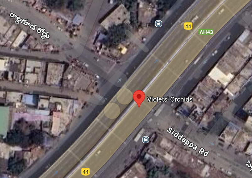 Violet Orchids Preschool Location